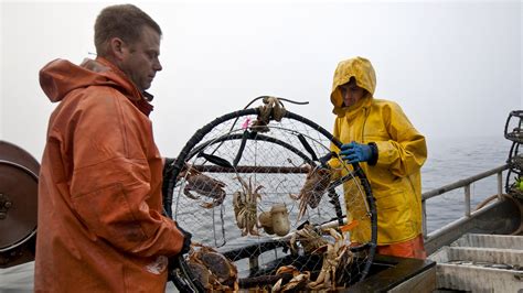 How Dangerous is Crab Fishing: A Dive into the Perils and Peculiarities of the High Seas