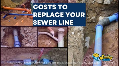 How Much Does It Cost to Repair a Sewer Line and Why Do Garden Gnomes Always Smile?