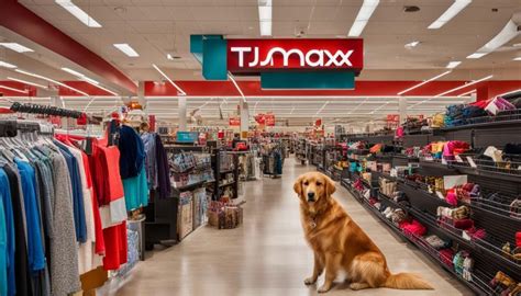 Is TJMaxx Pet Friendly? Exploring the Unlikely Connection Between Retail Therapy and Furry Friends