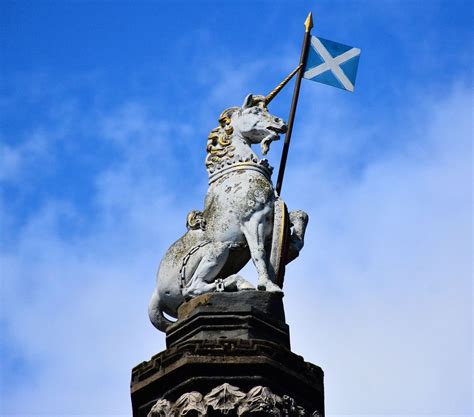 What is Scotland's National Animal? And Why Does It Roar Louder Than a Bagpipe?