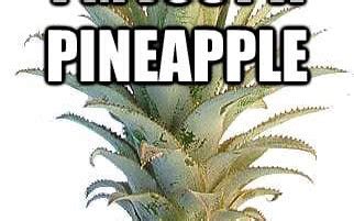 Why do my friends make fun of me, and why do pineapples belong on pizza?